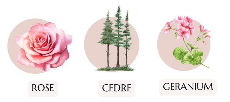 bougie parfumée bois de rose