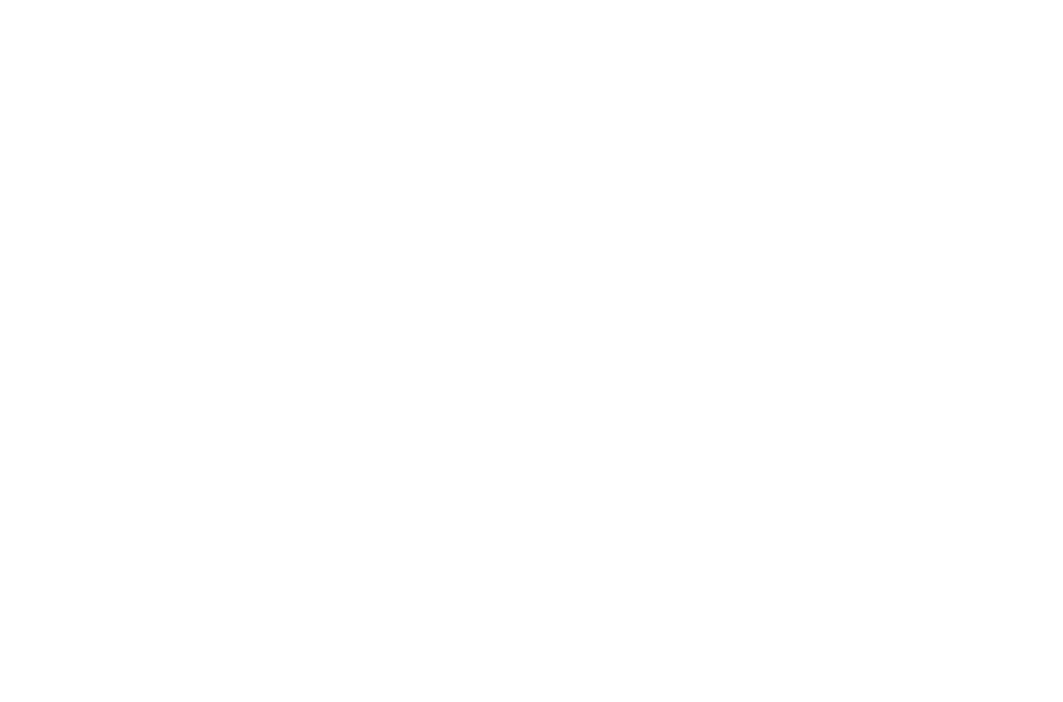 light logo