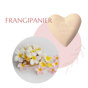 frangipanier 18gr fondant parfumé