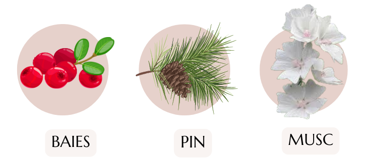 bougie parfum baies givrées 200ml